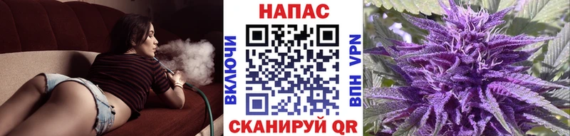 Бошки марихуана OG Kush Купить где Бодайбо